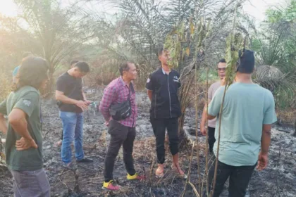 Bakar Lahan Sendiri Seorang Kakek Di Muratara Meregang Nyawa Terkepung Api 22