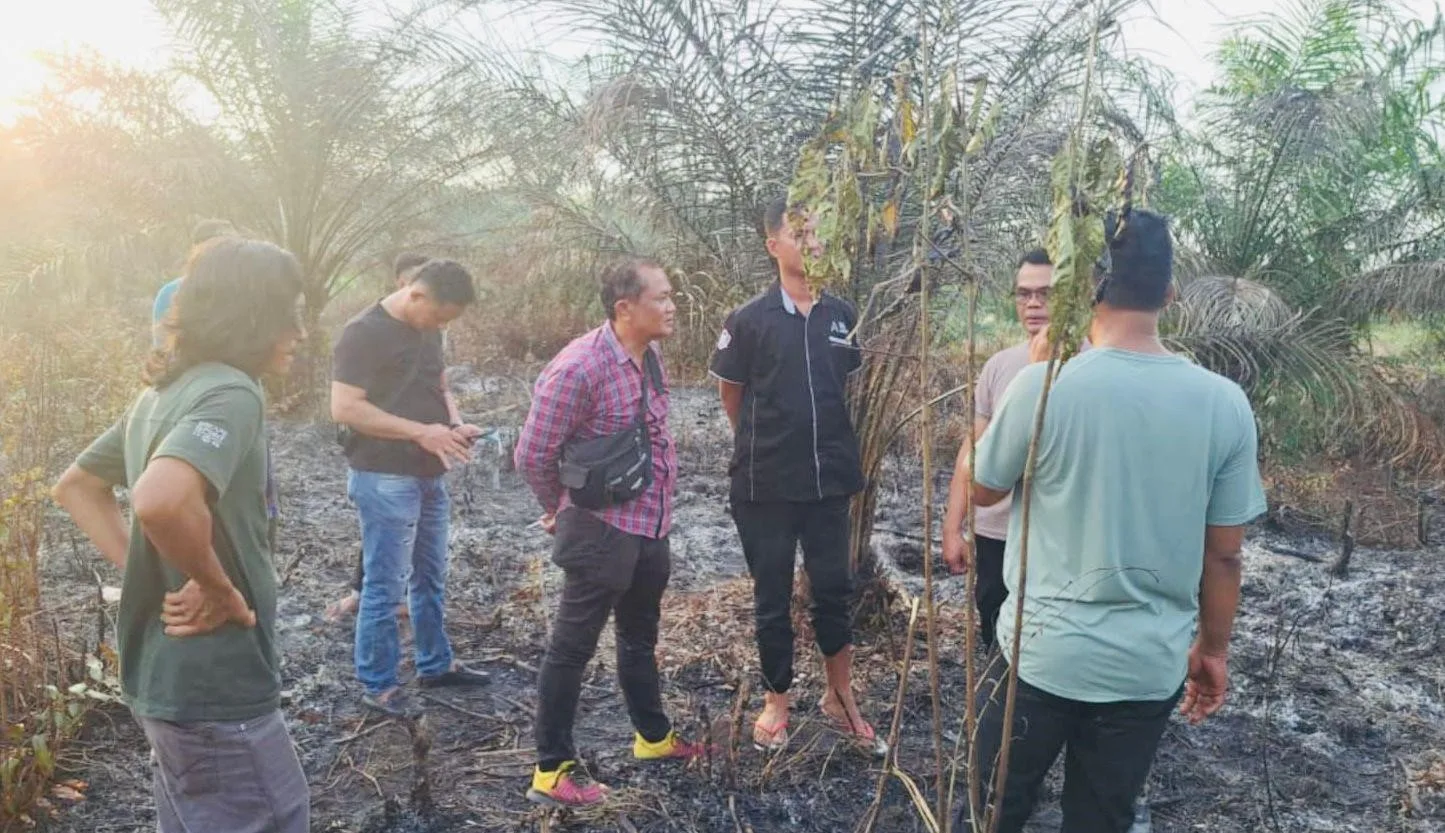 Bakar Lahan Sendiri Seorang Kakek Di Muratara Meregang Nyawa Terkepung Api 22