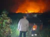 Personel Gabungan Sukses Padamkan Kebakaran Hutan 10 Hektar Di Ogan Ilir 30