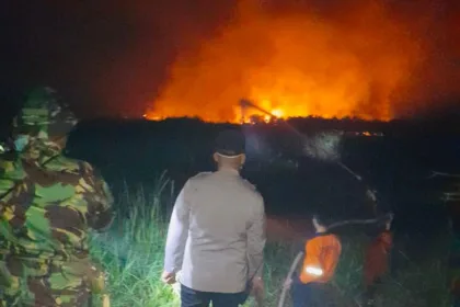 Personel Gabungan Sukses Padamkan Kebakaran Hutan 10 Hektar Di Ogan Ilir 30