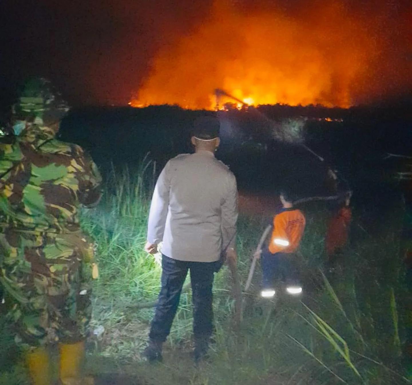 Personel Gabungan Sukses Padamkan Kebakaran Hutan 10 Hektar Di Ogan Ilir 30