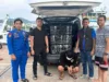 Penyelundupan 100 Ribu Benih Lobster Berhasil Digagalkan Di Lampung 34