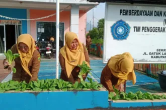 Prmn news 2025 07 21t170452.638