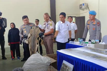 Img 20250821 wa0021(1)