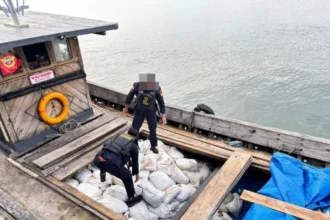 Kutipan berita lingga (77)