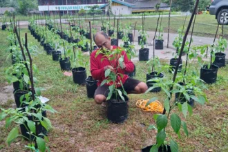 Whatsapp image 2025 09 13 at 18.06.48