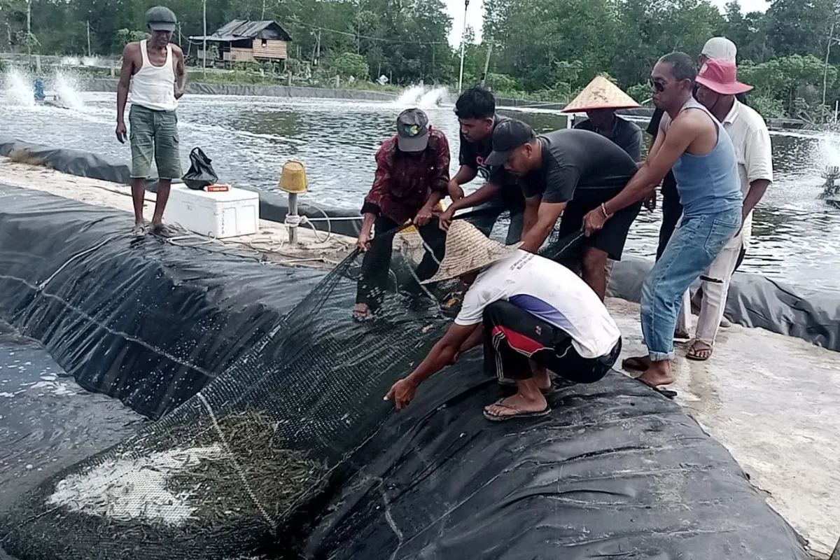 Kutipan berita lingga 2025 10 09t190549.679