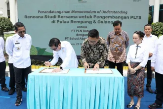 Kutipan lingga (6)
