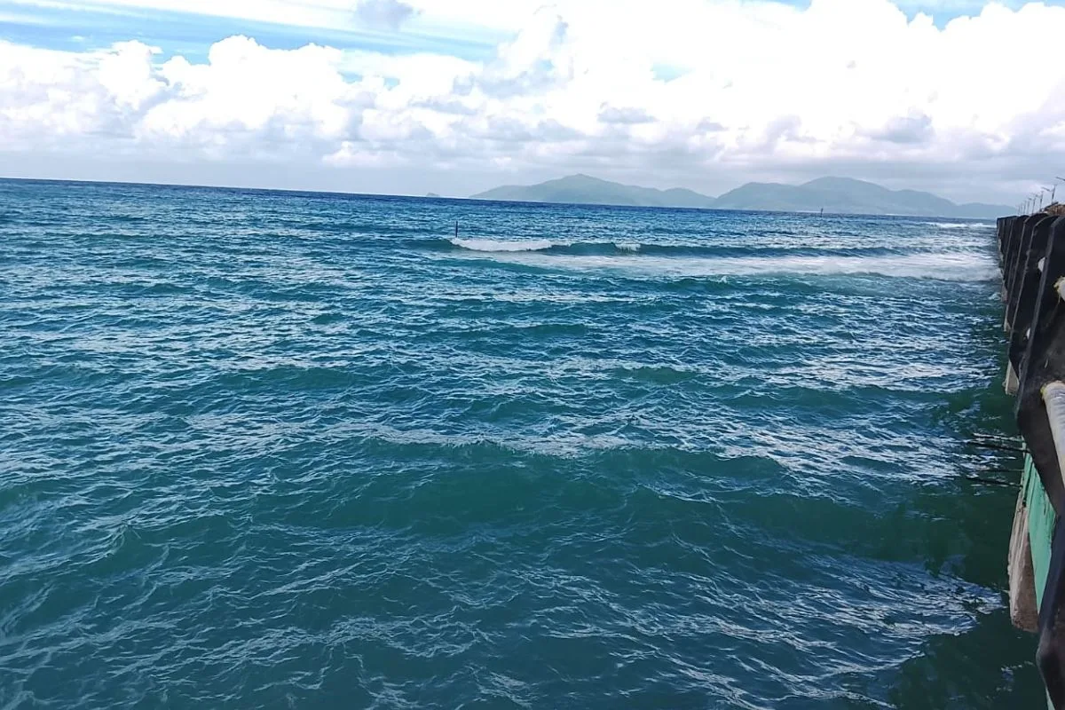 KUTIPAN BERITA LINGGA 2025 11 29T180751.655