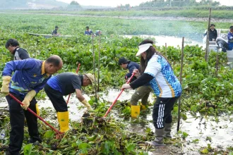 WhatsApp Image 2025 11 19 at 14.44.12