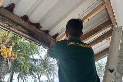 WhatsApp Image 2025 11 27 at 12.08.54