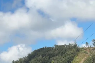 IMG 20260118 WA0034