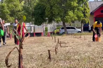 WhatsApp Image 2026 01 31 at 11.23.36