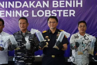 KUTIPAN LINGGA 2026 02 05T181025.584