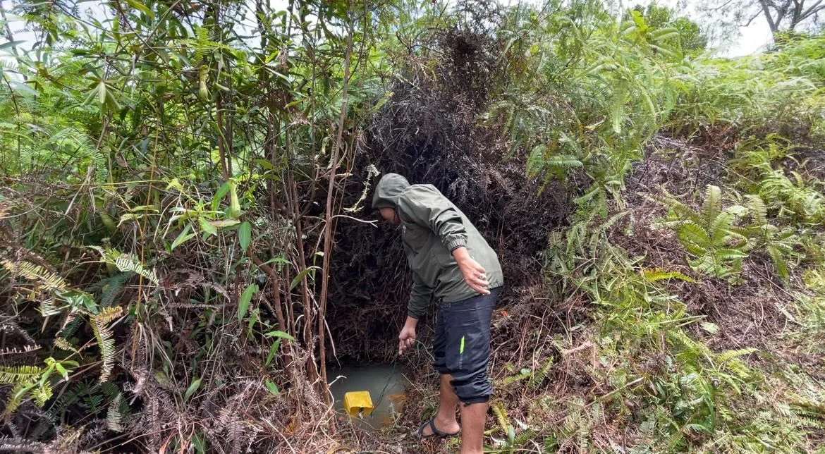 WhatsApp Image 2026 02 10 at 12.10.18