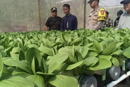 KUTIPAN LINGGA 2026 03 08T140354.650