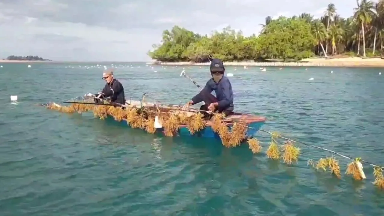 KUTIPAN LINGGA 2026 03 27T092337.456