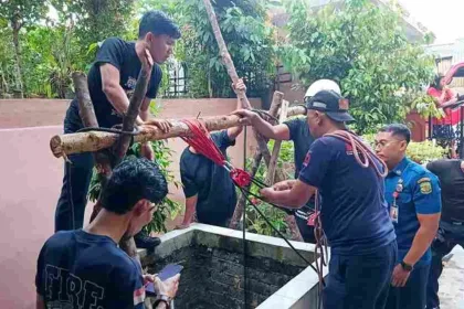 KUTIPAN LINGGA 2026 03 31T100513.188