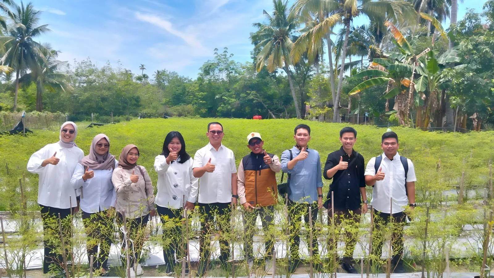 Jajaran Kejaksaan Negeri Karimun saat meninjau kebun cabai yang dikelola oleh Badan Usaha Milik Desa (BUMDes) Selat Mendaun | Foto: KUTIPAN/Pemdes Selat Mendaun