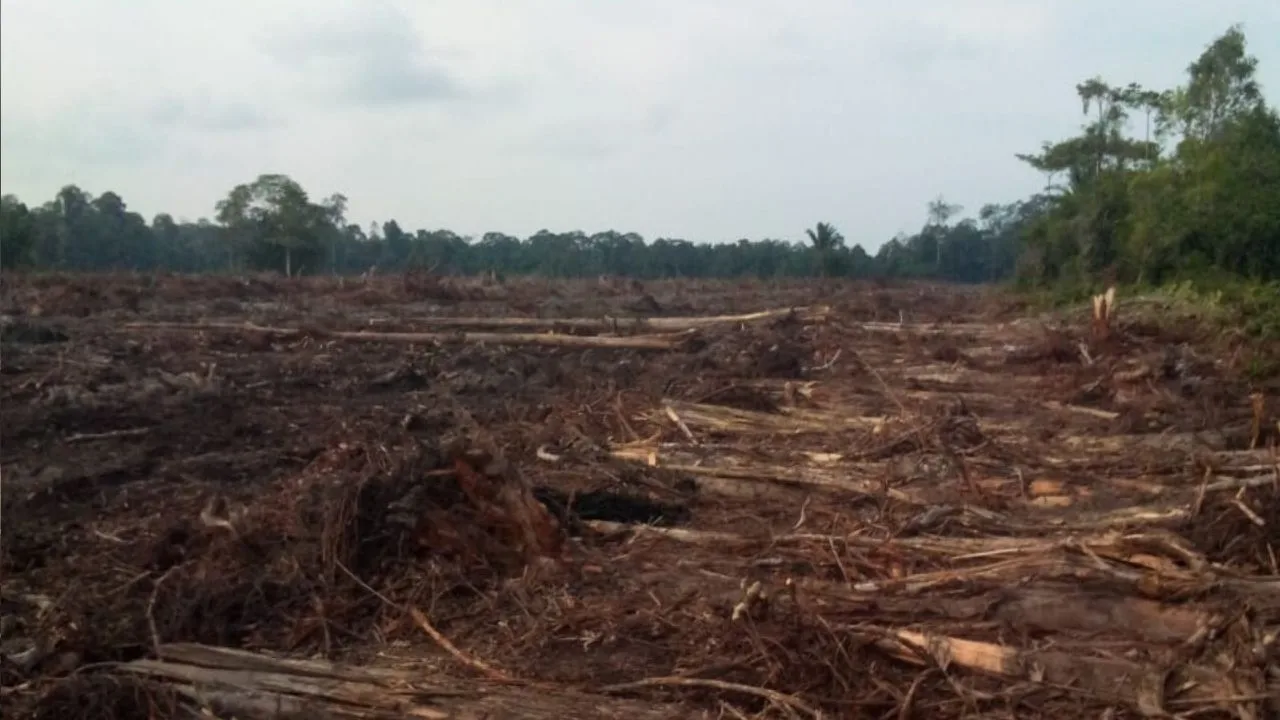 KUTIPAN LINGGA 2026 04 02T200201.003