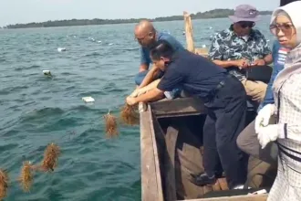 KUTIPAN LINGGA 2026 04 16T202957.760