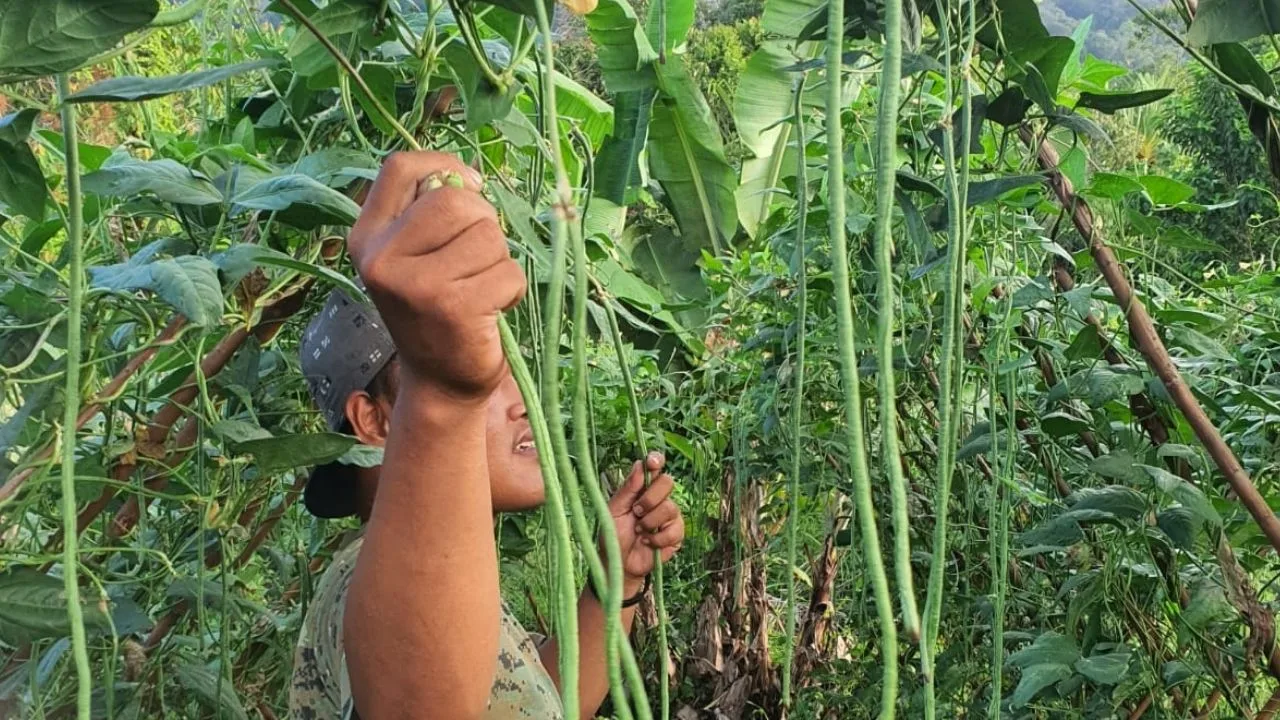 KUTIPAN LINGGA 2026 04 26T173717.071