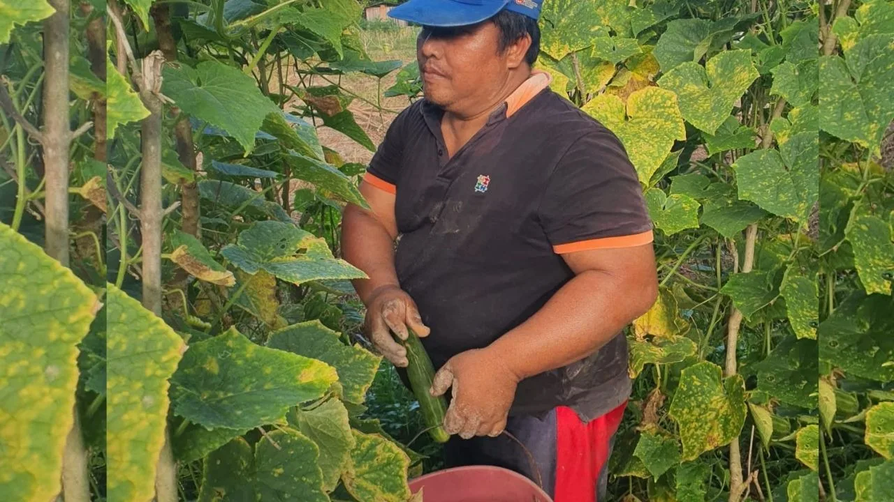 KUTIPAN LINGGA 2026 04 26T174017.362