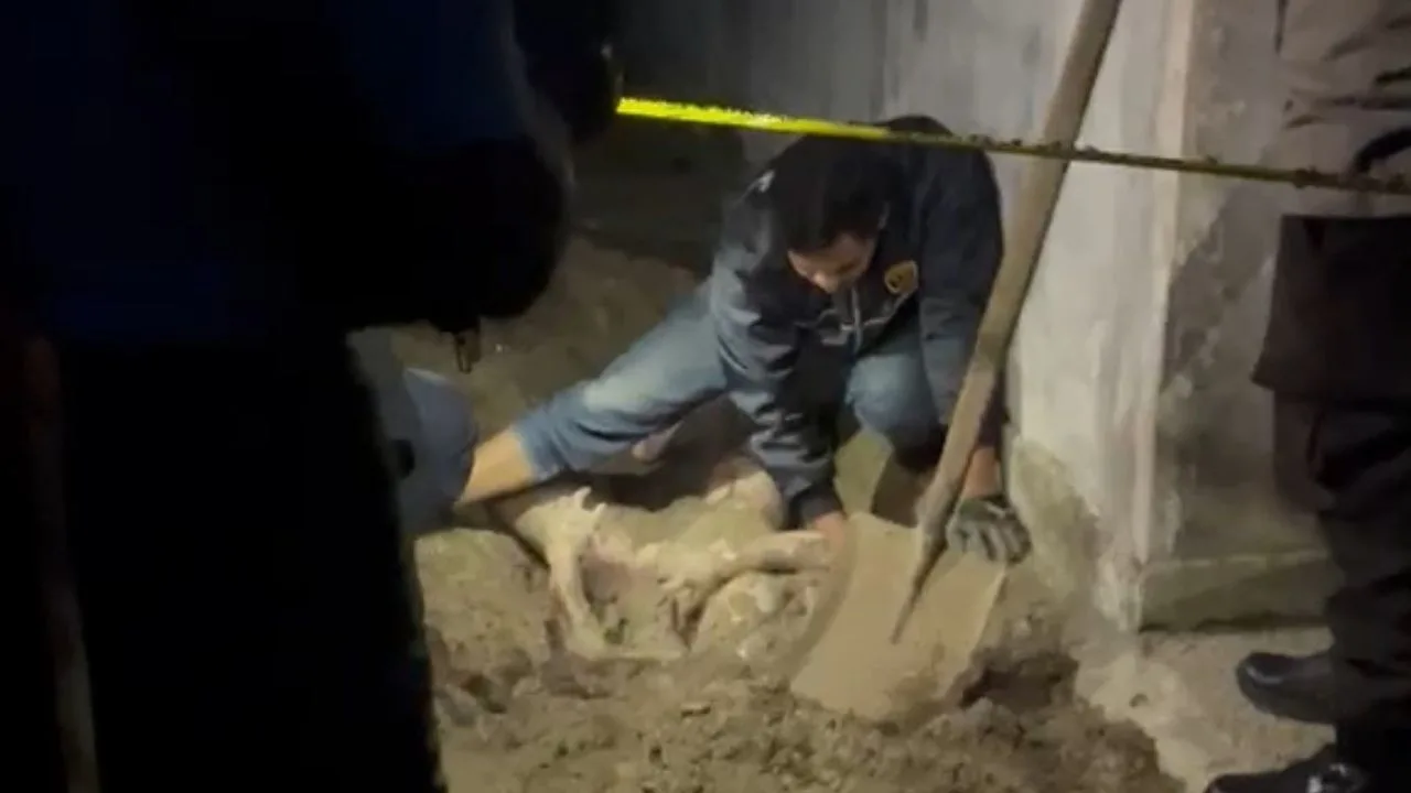 KUTIPAN LINGGA 2026 04 28T223851.504