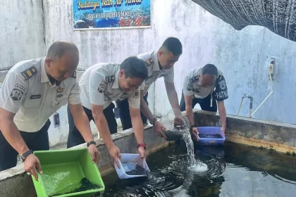 WhatsApp Image 2026 04 23 at 14.35.43