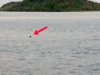 IMG 20260505 WA0009