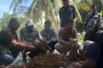 KUTIPAN LINGGA 2026 05 06T102413.942